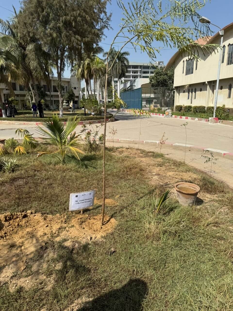 Contribution in Tree Plantation (1)