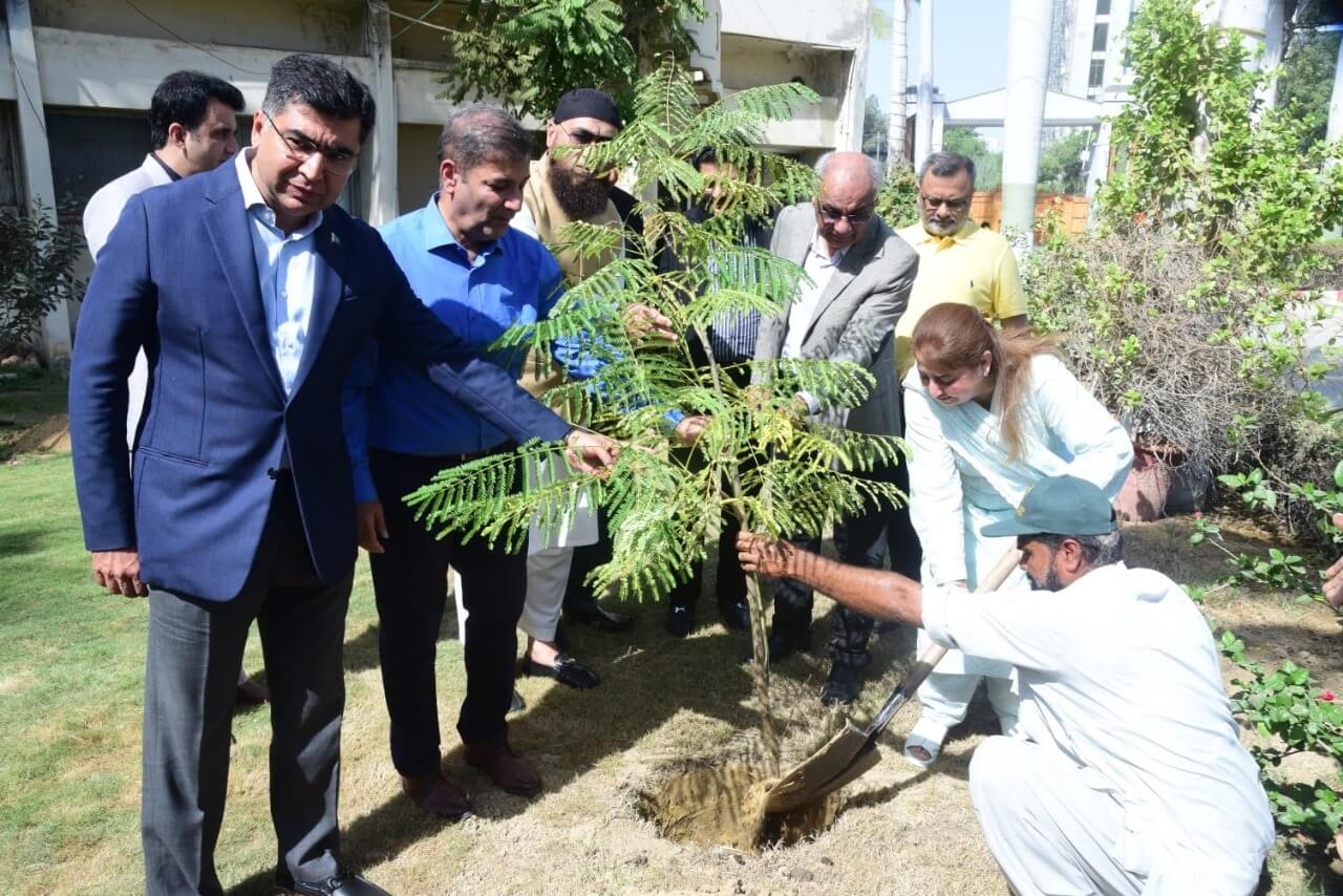 Contribution in Tree Plantation (2)
